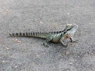 Australia