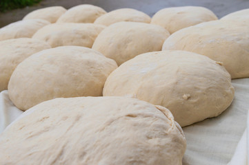 Galician artisan bread rolls (Spain).