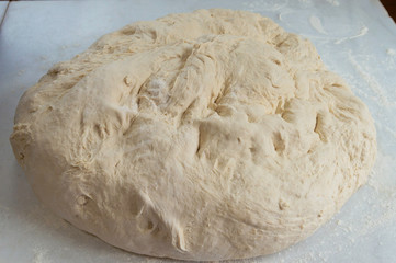 Galician artisan bread roll (Spain).
