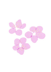 Fototapeta na wymiar Hand drawn blooming tree flowers on the white background. Paper cutout imitation. Plum blossom textured illustration. Seasonal naive spring card