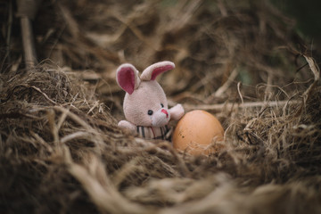 easter bunny and eggs