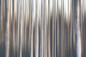 Abstract conceptual image for background and wall art. Motion blurred forest image for wallpaper use for example.