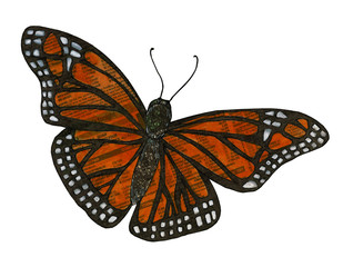 Orange large Monarch butterfly hand painted on newspaper cut out in retro style