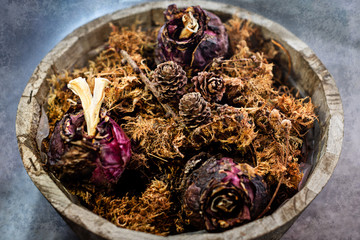 Vintage hyacinth flowers