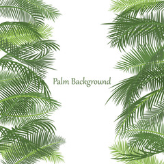 Fototapeta na wymiar Background template with palm leaves. Minimalistic design. Border, frame with green branches of palm trees on a white background. Place for text. Vector tropical illustration. Cover, travel banner, ad