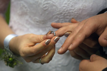 Wedding. Bride. Groom. Rings.