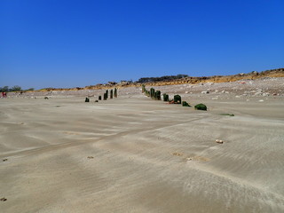 View of the beach and old wooden logs embedded in the ground