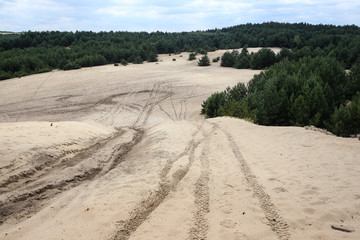 Siedlce desert, near the Siedlec village, Krakow-Czestochowa Upland