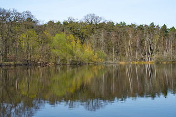 Teufelssee in Berlin, Bezirk Treptow-Köpenick