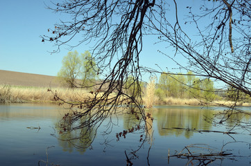 Eastern Europe spring landscape. Poltava Region