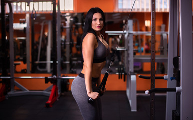 Fototapeta na wymiar Nice sexy woman doing triceps workout in gym