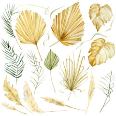 Watercolor tropical dried floral set. Glomour golden color leaves in trendy boho and modern style. Bohemian elements for wedding invintation, greeting card, poster.