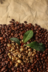 Golden and brown coffee grains on brown paper