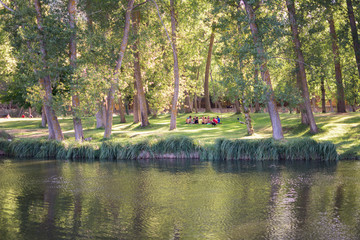 Beautiful natural landscape with a large river, groups of people among the trees enjoying good weather outdoors.
