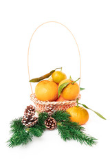 Fototapeta na wymiar Christmas Tangerines. tangerines on a white background