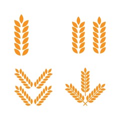 Agriculture wheat vector graphic design template isolated