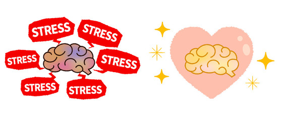 Stressed and stress-free brain