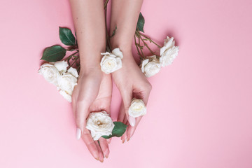 Fototapeta na wymiar Graceful woman's hands is holding white roses on pink background . Hand's skin care.