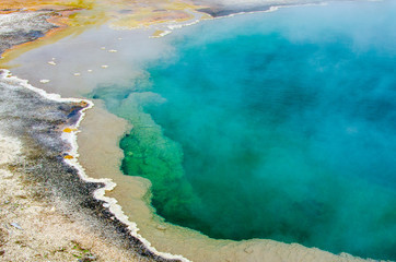 geyser in yellowstone