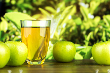 Fototapeta na wymiar Fresh organic green apple juice