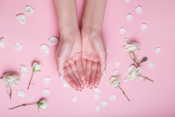 Beautiful cupped hands of young woman on flowers pink background