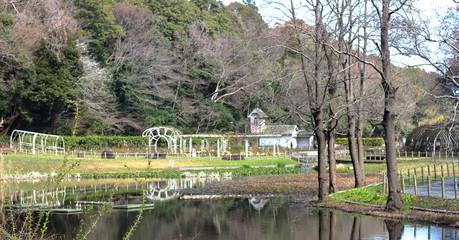 Fototapeta na wymiar 日本の公園の景色