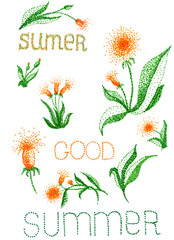 Set of illustrations on the theme of summer, nature. Flowers dandelions drawn by dots.