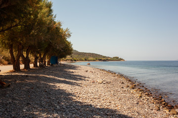 Lonely greek beach with trees in summer