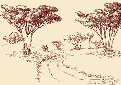 African landscape hand drawing. A road in the savanna and an elephant at the horizon
