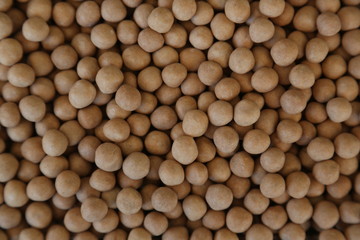 close-up, crispy roasted chickpeas