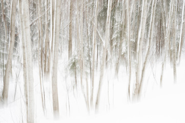 ICM lanscape photography