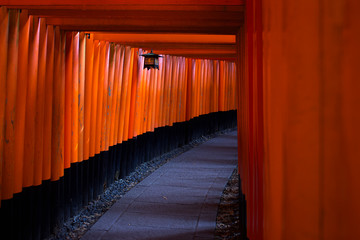 Traditional and iconic toris at Fushimi Inari Taisha in Kyoto 