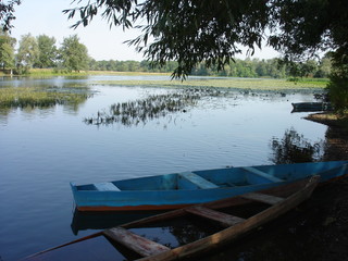 Obraz premium A quiet, calm river overgrown with water vegetation. Early morning. Two old wooden boats are moored on the shore.