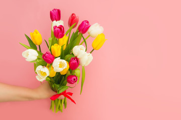 bouquet of colorful tulips in hand yellow red and white flowers on an isolated pink background with place for text holiday theme