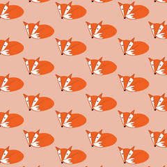 Sleeping Fox pattern with colorful background.