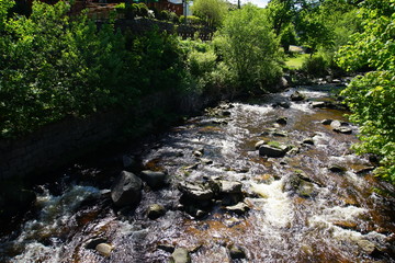 Creek in Karkonoski National Park, near Szklarska Poreba, Poland. May 2019 - obrazy, fototapety, plakaty