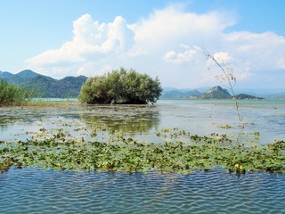 Bootsfahrt auf dem Skadarsee