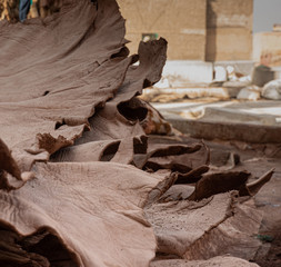 Leather for tanning, macro leather, Morocco, Marrakech. Skin process, copy-space
