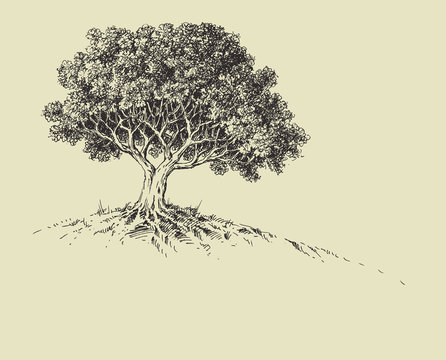 Nature wallpaper, a tree in bloom hand drawing