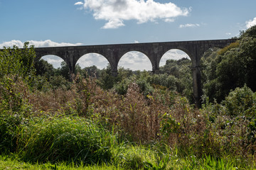 Fototapeta na wymiar tall viaduct