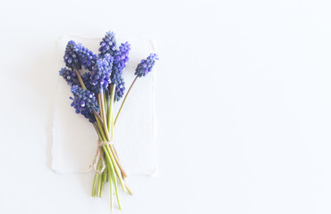 Fototapeta premium Blank paper greeting card and bouquet blue Muscari flowers.White table background. Flat lay, top view.Flower concept.