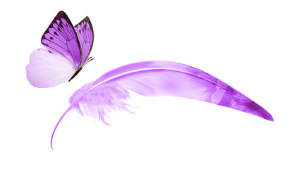 Fototapeta na wymiar Beautiful color feather and butterfly isolated on white background