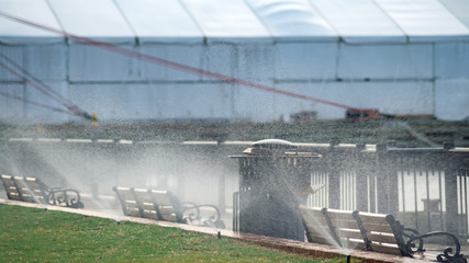 Naklejka premium Park Sprinklers