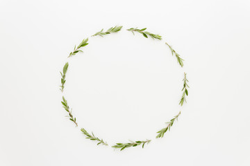 Minimal style photography. Branch circle , natural creative composition top view background with copy space for your text. Flat lay.