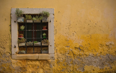 A window in an old historic building in the hill village of Stanjel in the Komen municipality of Primorska, south west Slovenia.
