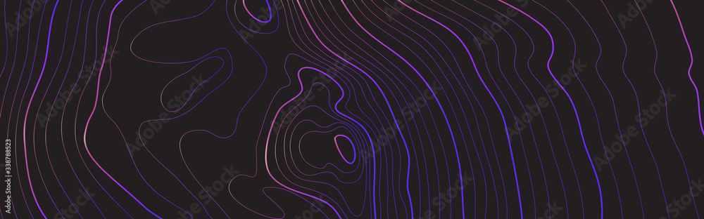 Wall mural the stylized height of the topographic contour in lines and contours. the concept of a conditional g