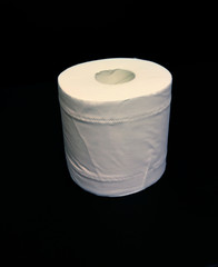 2020 Coronavirus Outbreak Covid19 Crisis Pandemic PPE Personal Protection Stock Piling Toilet Paper Tissue Bathroom Washroom Restroom Supermarket Shopping Madness Finding Comfort in Toilet Paper Roll