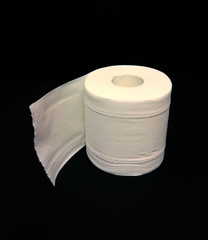 2020 Coronavirus Outbreak Covid19 Crisis Pandemic PPE Personal Protection Stock Piling Toilet Paper Tissue Bathroom Washroom Restroom Supermarket Shopping Madness Finding Comfort in Toilet Paper Roll