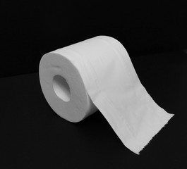 2020 Coronavirus Outbreak Covid19 Crisis Pandemic PPE Personal Protection Stock Piling Toilet Paper Tissue Bathroom Washroom Restroom Supermarket Shopping Madness Finding Comfort in Toilet Paper Roll