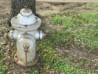 White fire pump